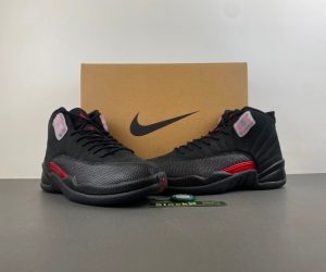 Air Jordan 12